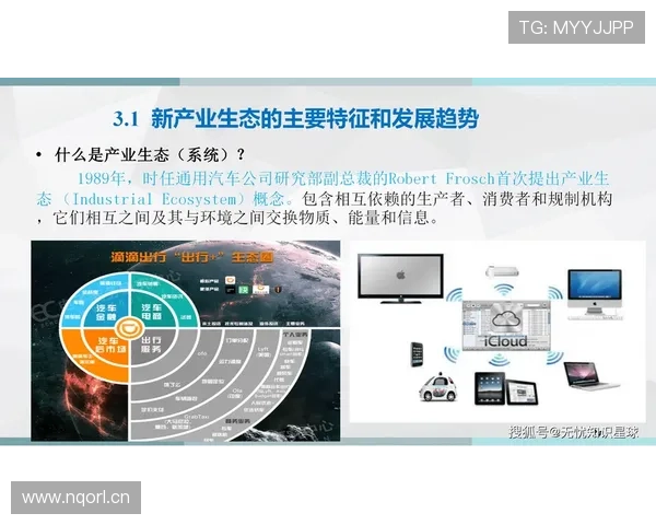 企业家如何在竞争激烈的市场中把握机遇实现长期可持续发展与创新突破