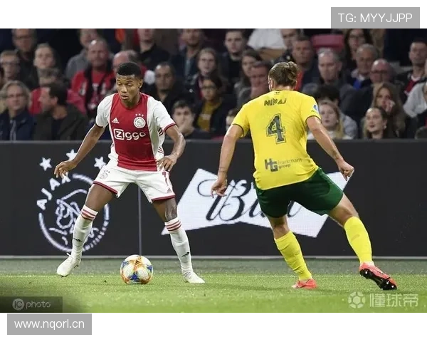 意媒：内雷斯或将手术伤停数周